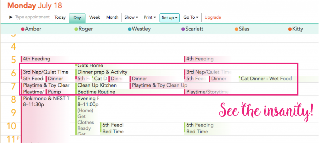 Cozi Dinner Schedule-01